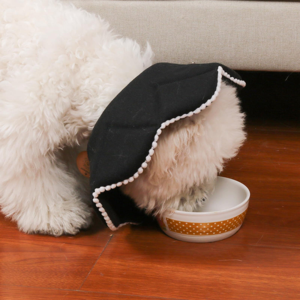 WZ PET foldable cone stores compactly when not in use.