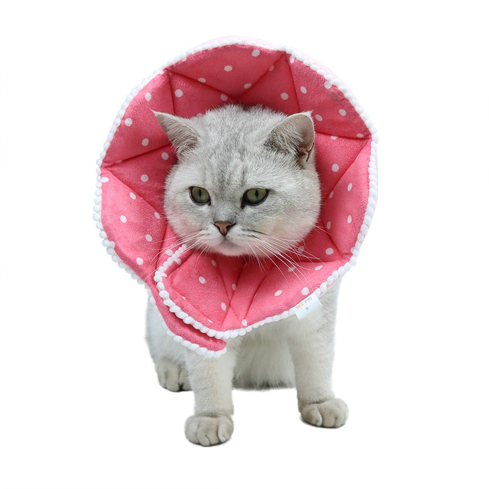 WZ PET machine-washable cone stays durable and easy to clean.