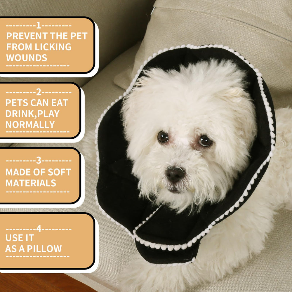 WZ PET scratch-resistant cone protects wounds during recovery.