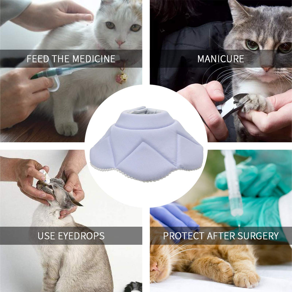 WZ PET after-surgery collar supports pet comfort during grooming and nail trimming