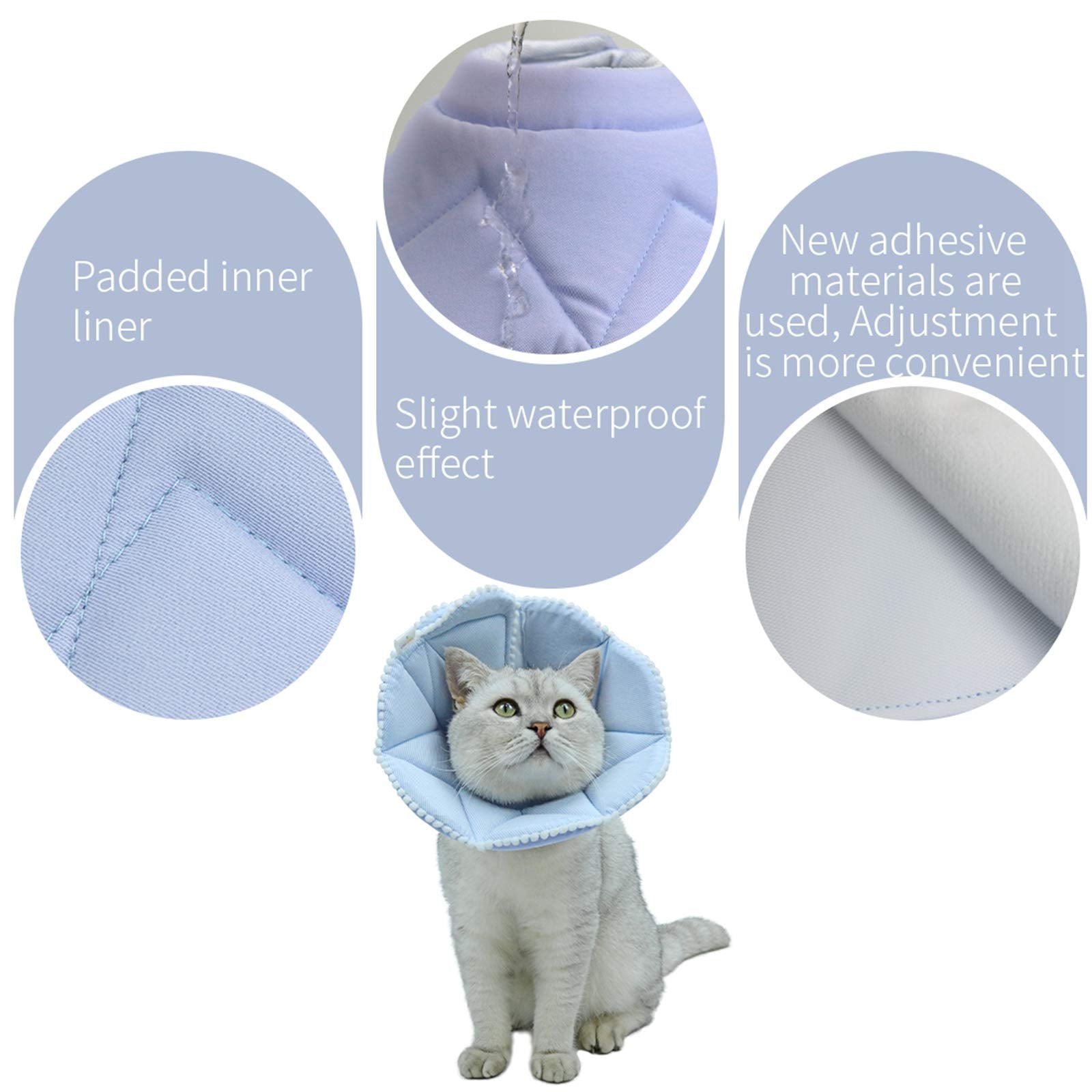 WZ PET blue-twill reversible collar offers two looks for photos and daily wear