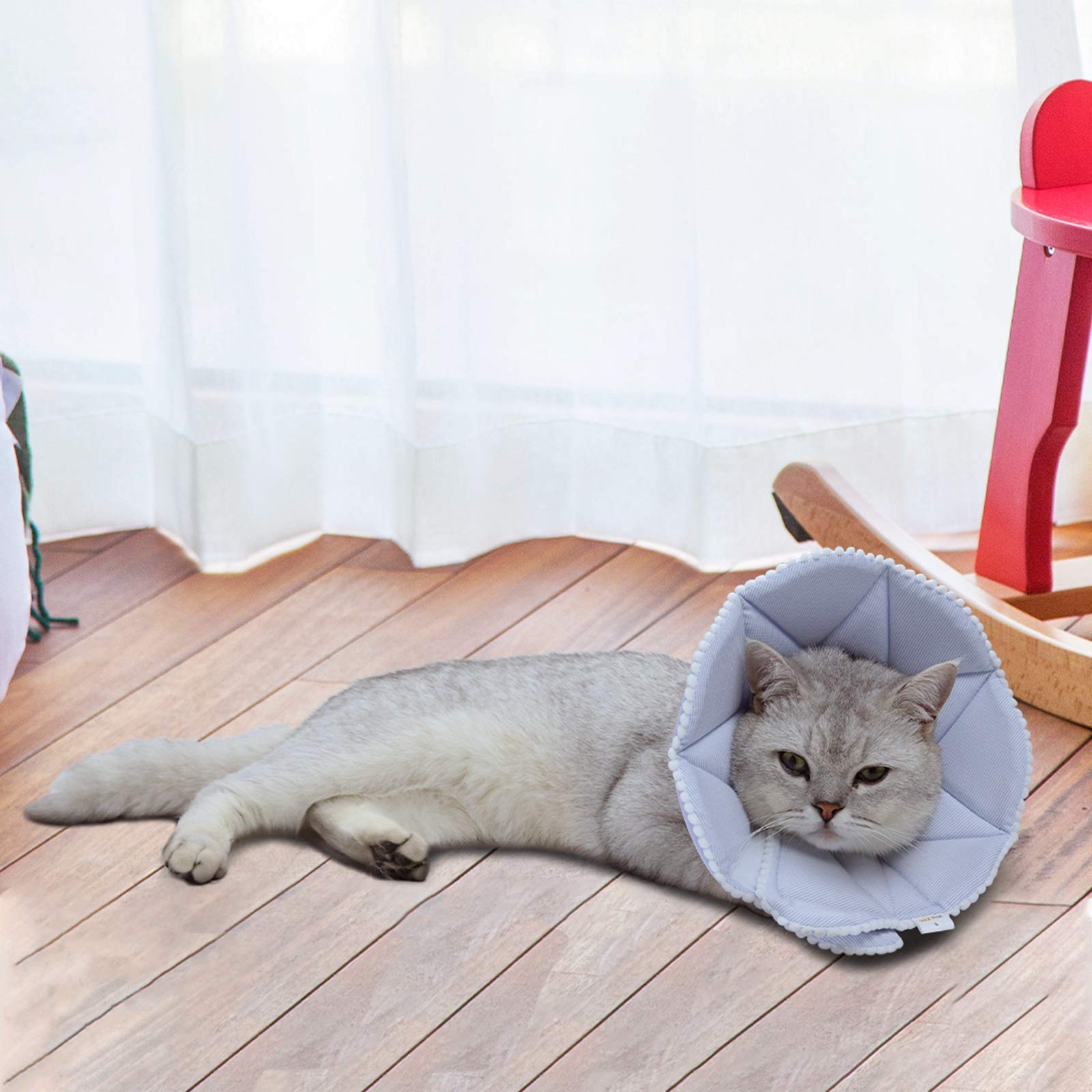 WZ PET machine-washable collar remains clean and deforms-free after washing