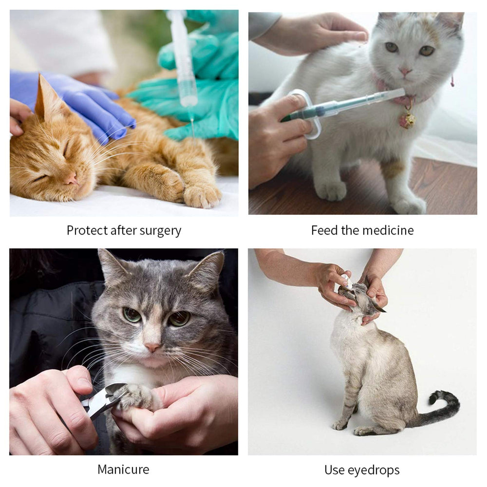 WZ PET soft cone folds for compact storage between uses.