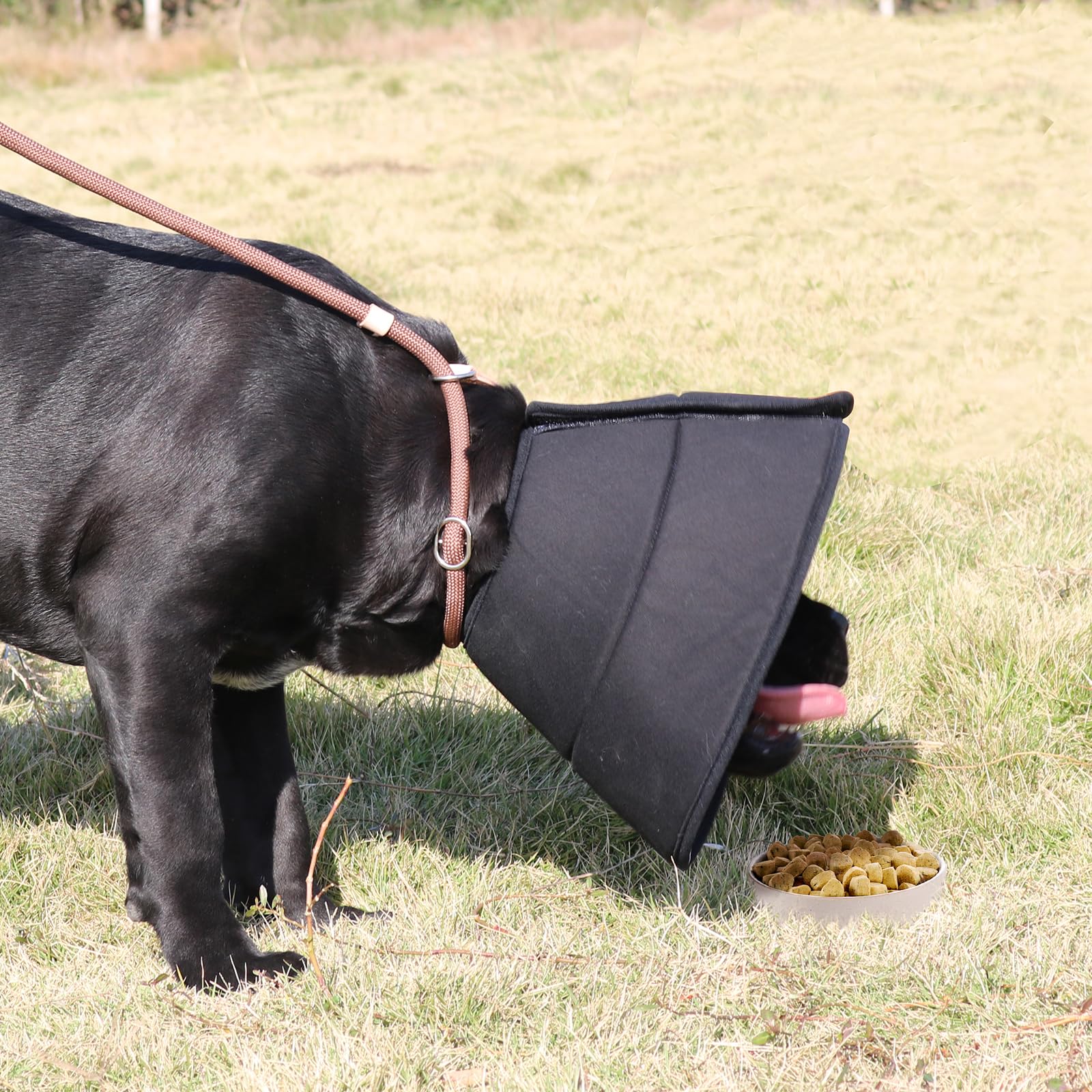 WZ PET washable and foldable cone for convenient storage and reuse.