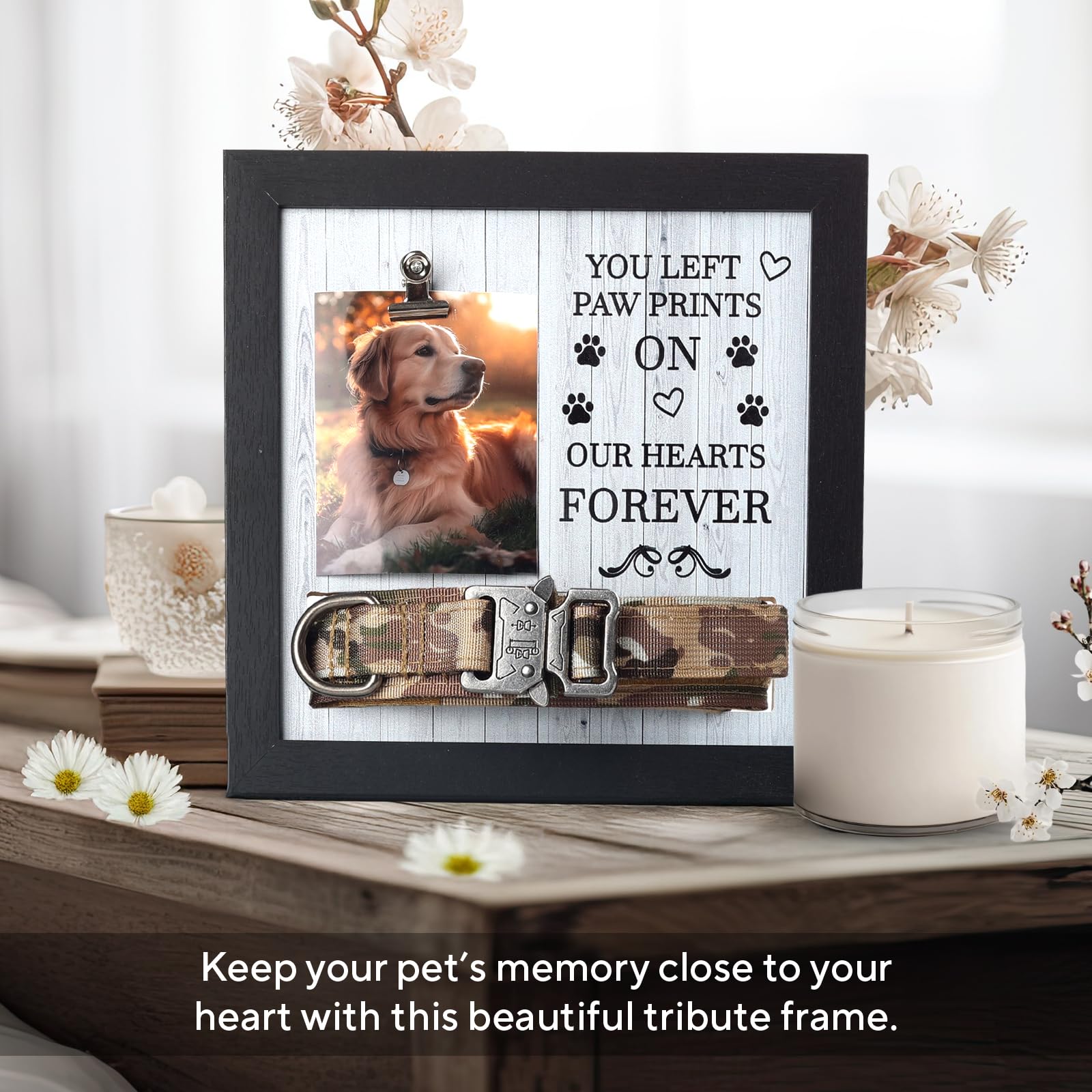 X-partner display-photo-and-collar shows cherished moments with collar alongside a favorite photo