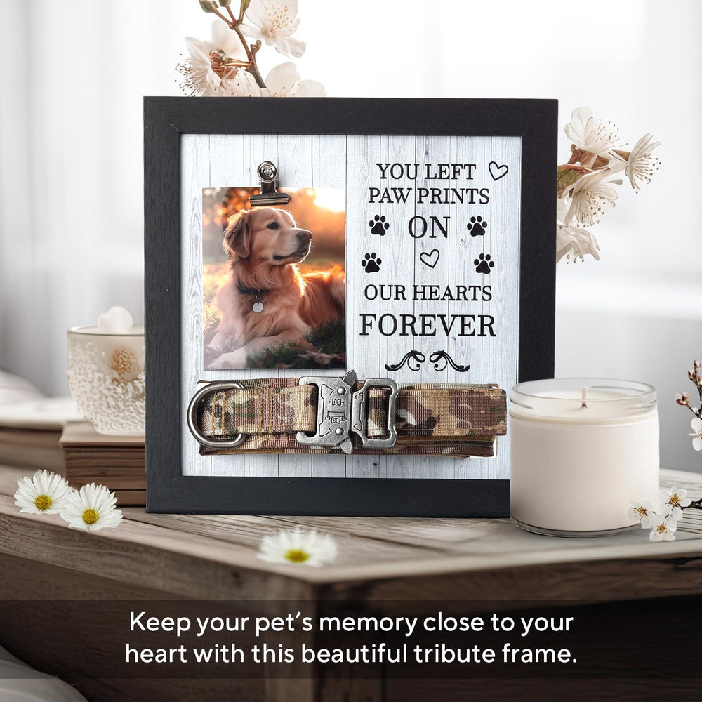 X-partner display-photo-and-collar shows cherished moments with collar alongside a favorite photo