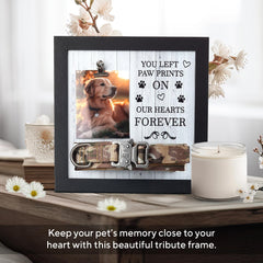 X-partner display-photo-and-collar shows cherished moments with collar alongside a favorite photo