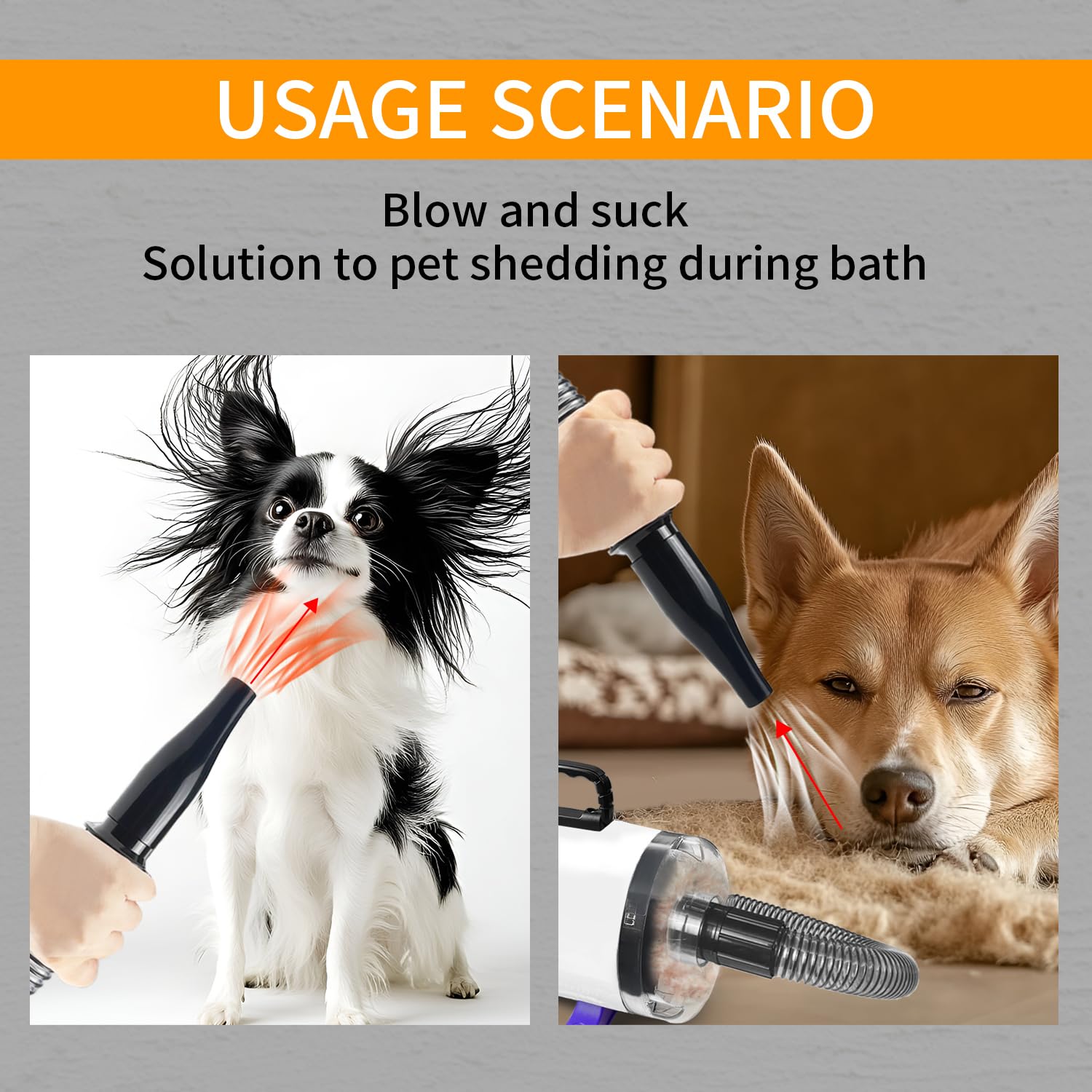 Xapigo dog vacuum-dryer in use with a calm pet during grooming.
