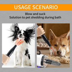 Xapigo dog vacuum-dryer in use with a calm pet during grooming.