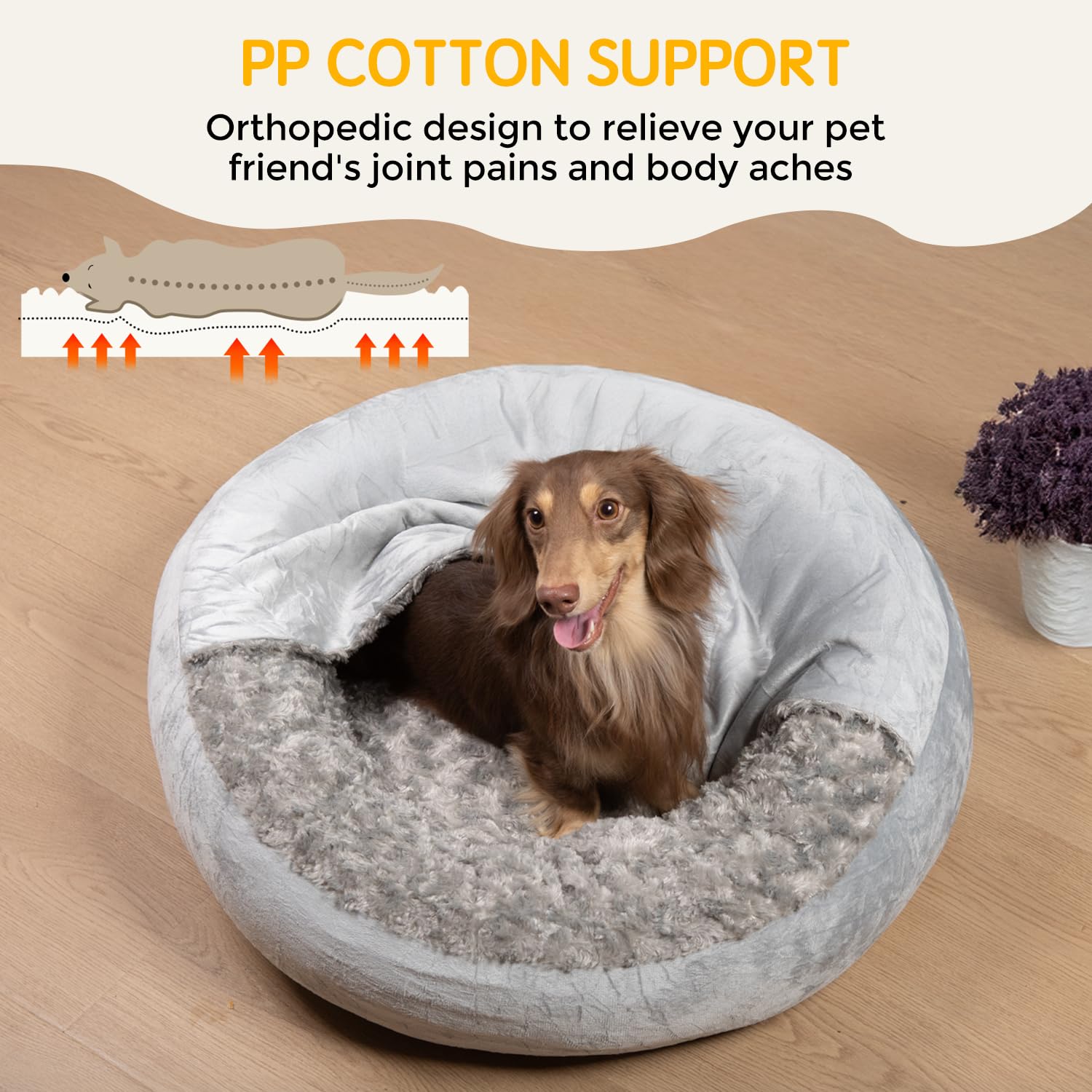Xavaro cave dog bed room setup in gray complements modern decor.