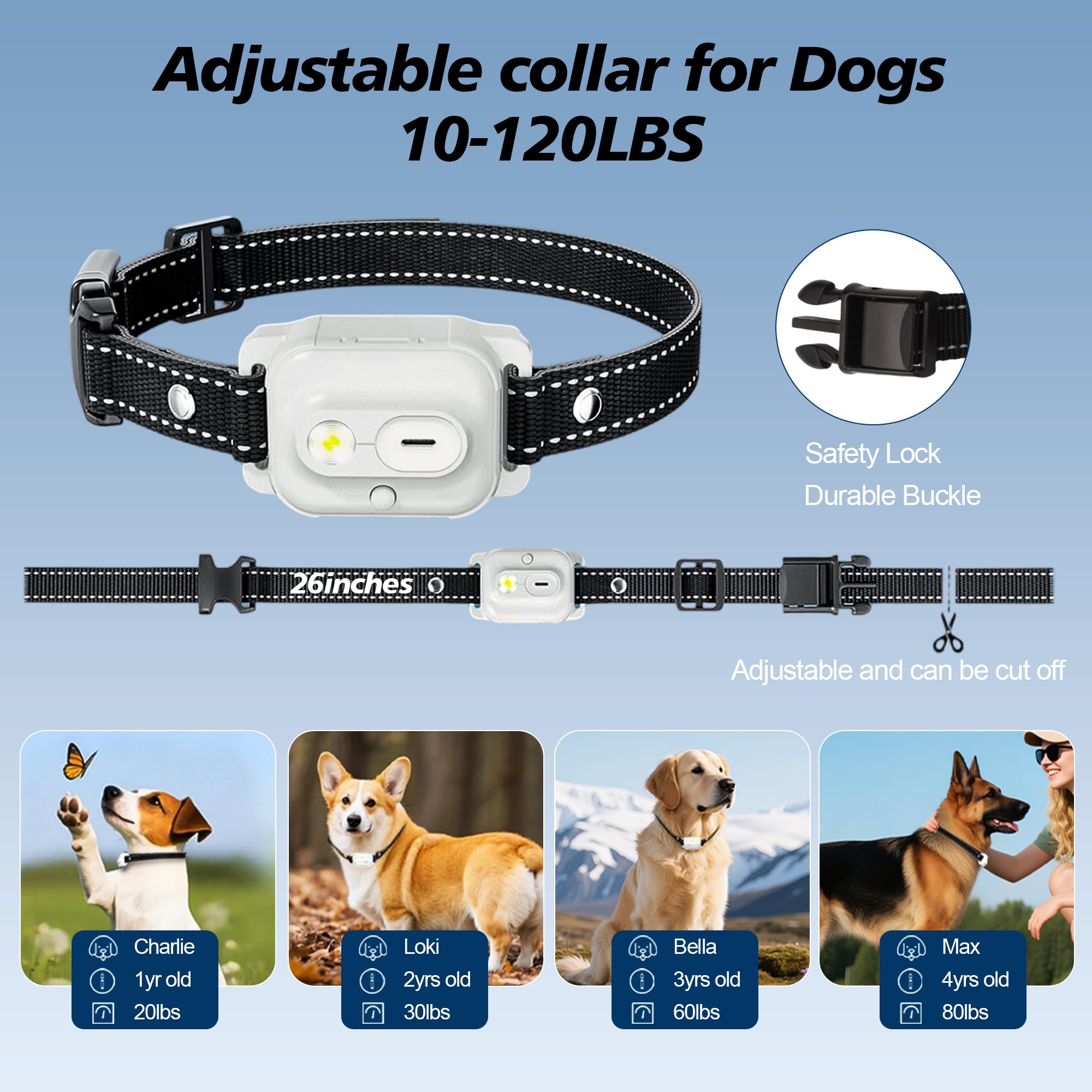 Xavbrysw dog training in park use showing practical outdoor recall
