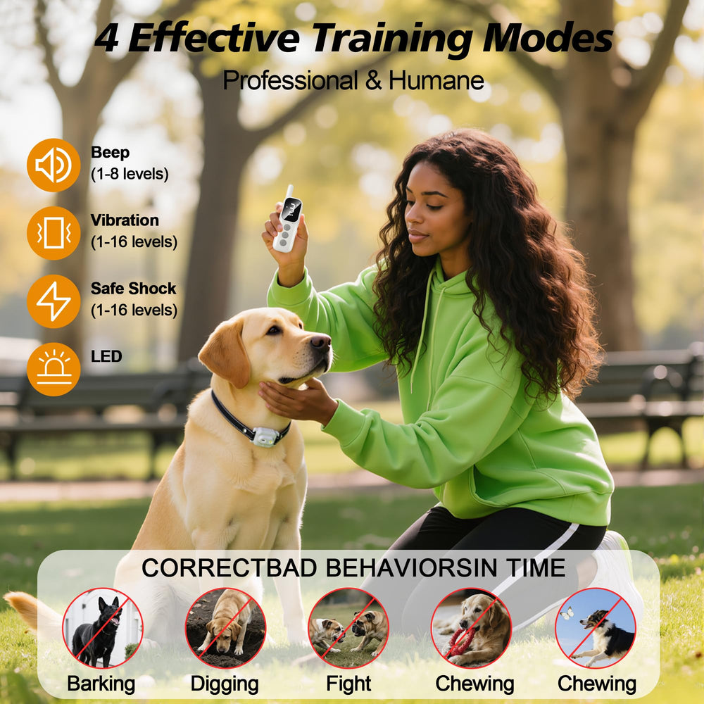 Xavbrysw remote training system setup with handheld controller and collar