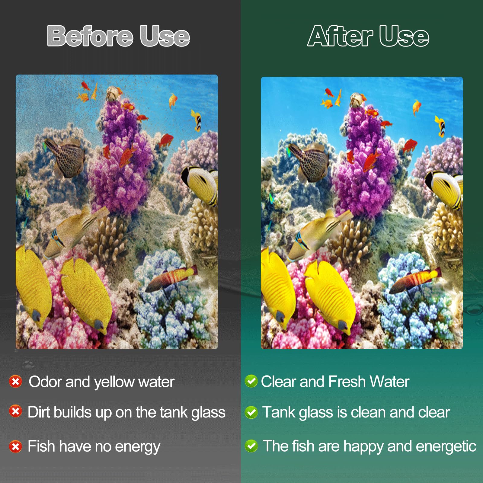 xbbwmrs friendly customer service supports your aquarium setup and filtration questions