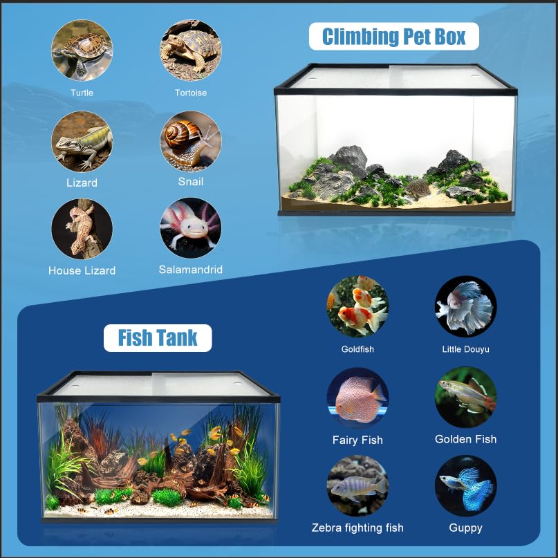 XDPET German adhesive sealant ensures eco-friendly, zero-pollution aquarium setup.