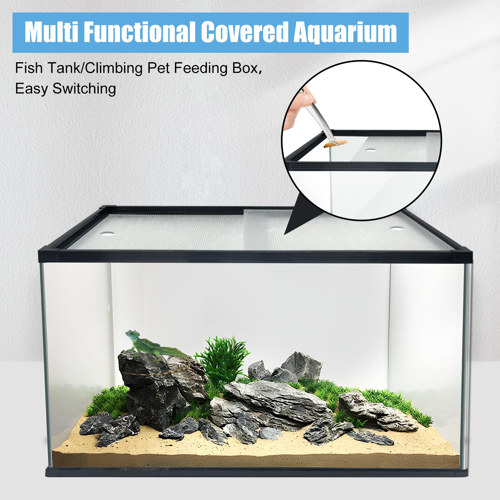 XDPET 29 gallon horizontal rectangle layout for landscape-friendly aquascape.