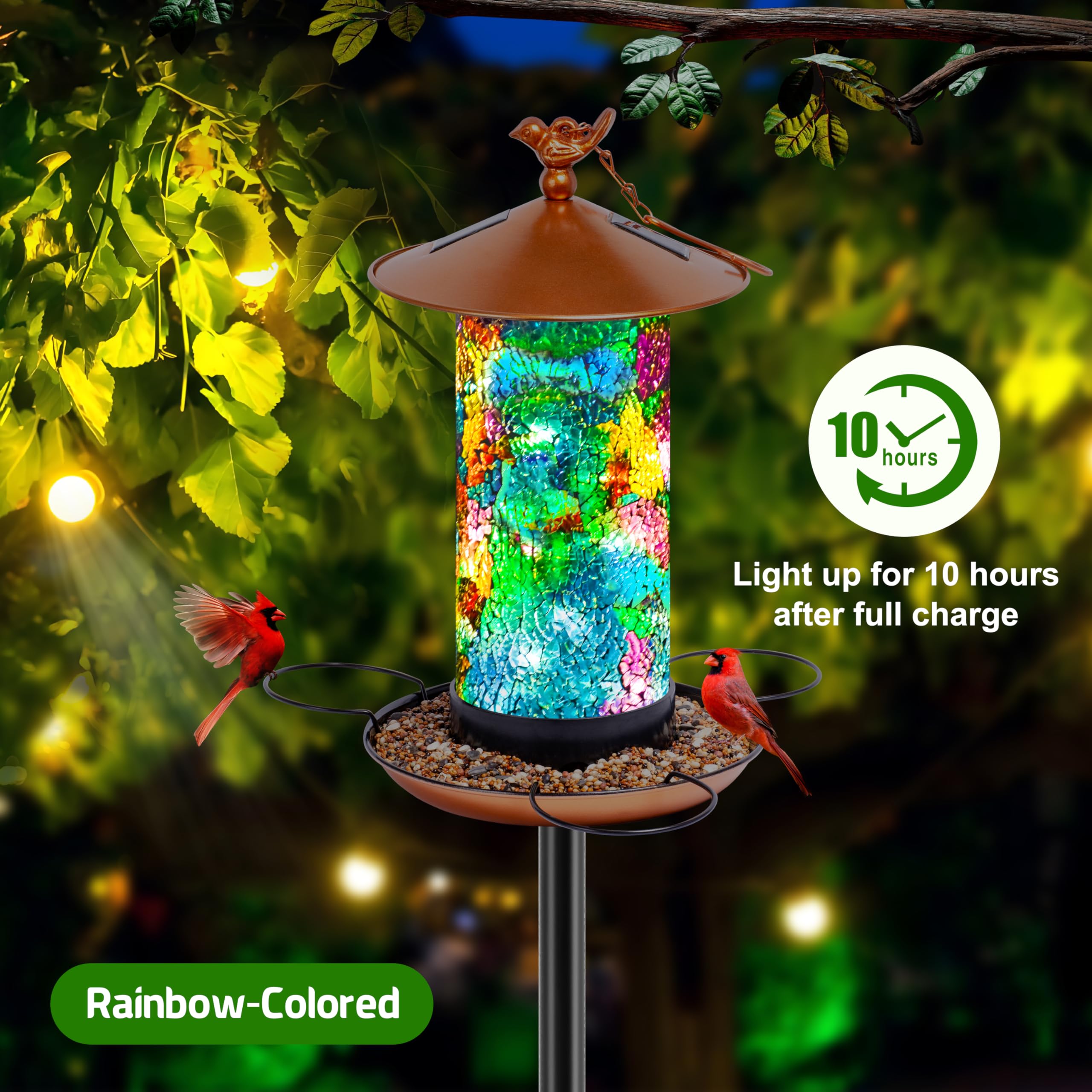 XDW-GIFTS feeder tray and perches support multiple birds during feeding.