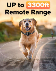 XDX remote with long-range antenna supports outdoor training up to 3300 ft
