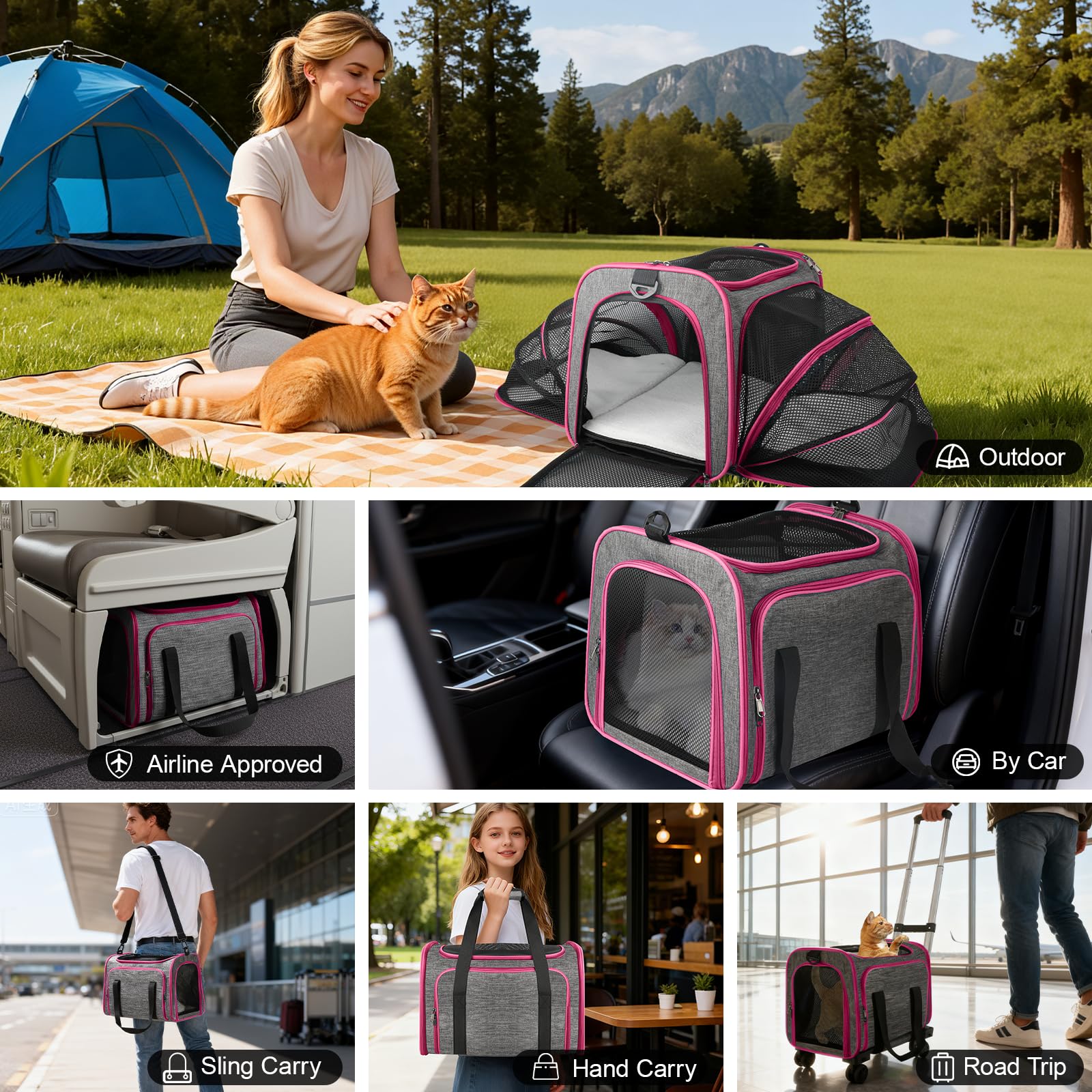 Xeoca pet carrier in daily-use setup for vet visits