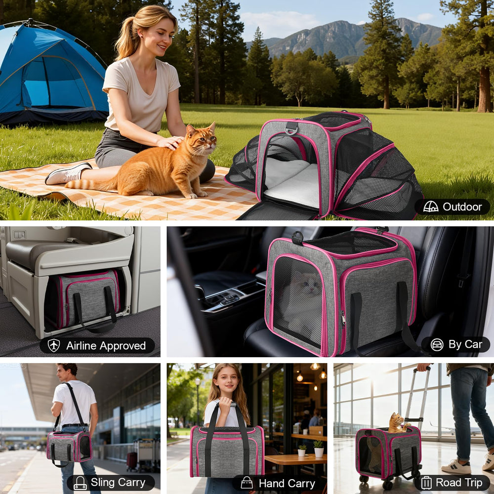 Xeoca pet carrier in daily-use setup for vet visits