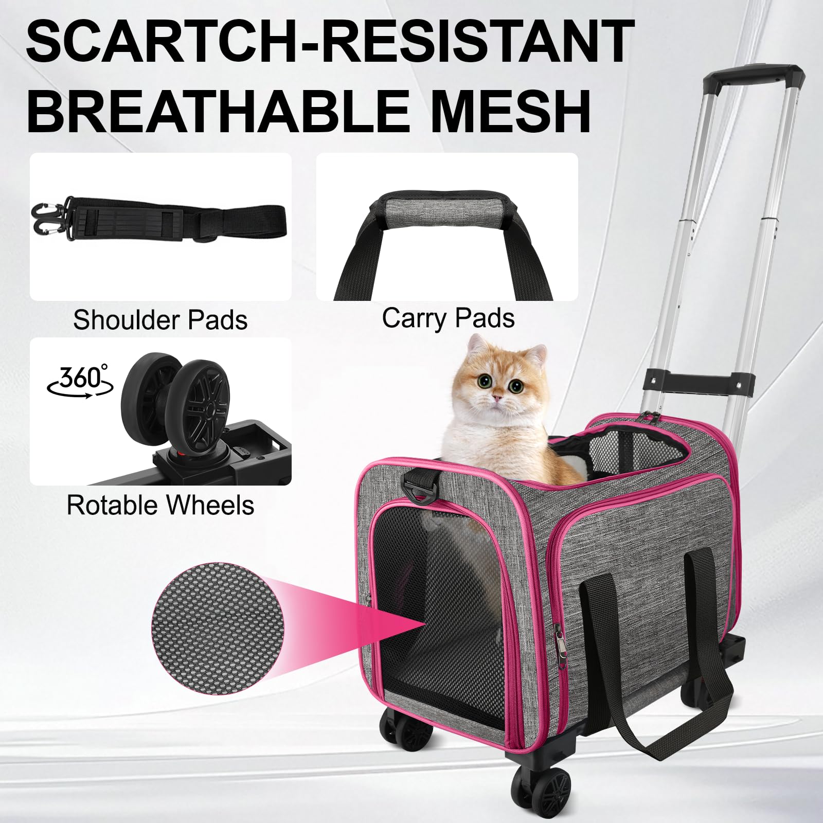Xeoca carrier dimensions 17-3 by 11 by 14-5 inches