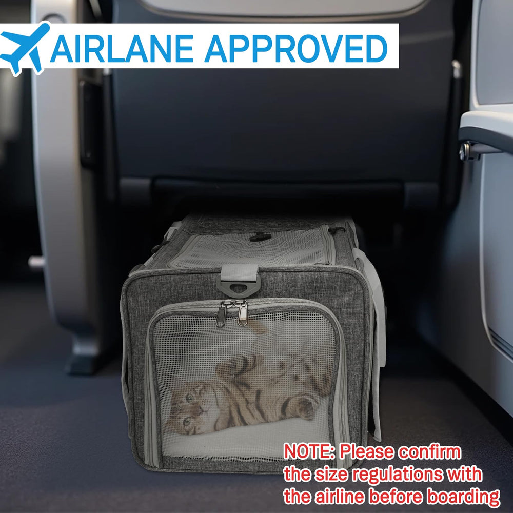 Xeoca plush interior padding provides a cozy resting space for small pets.