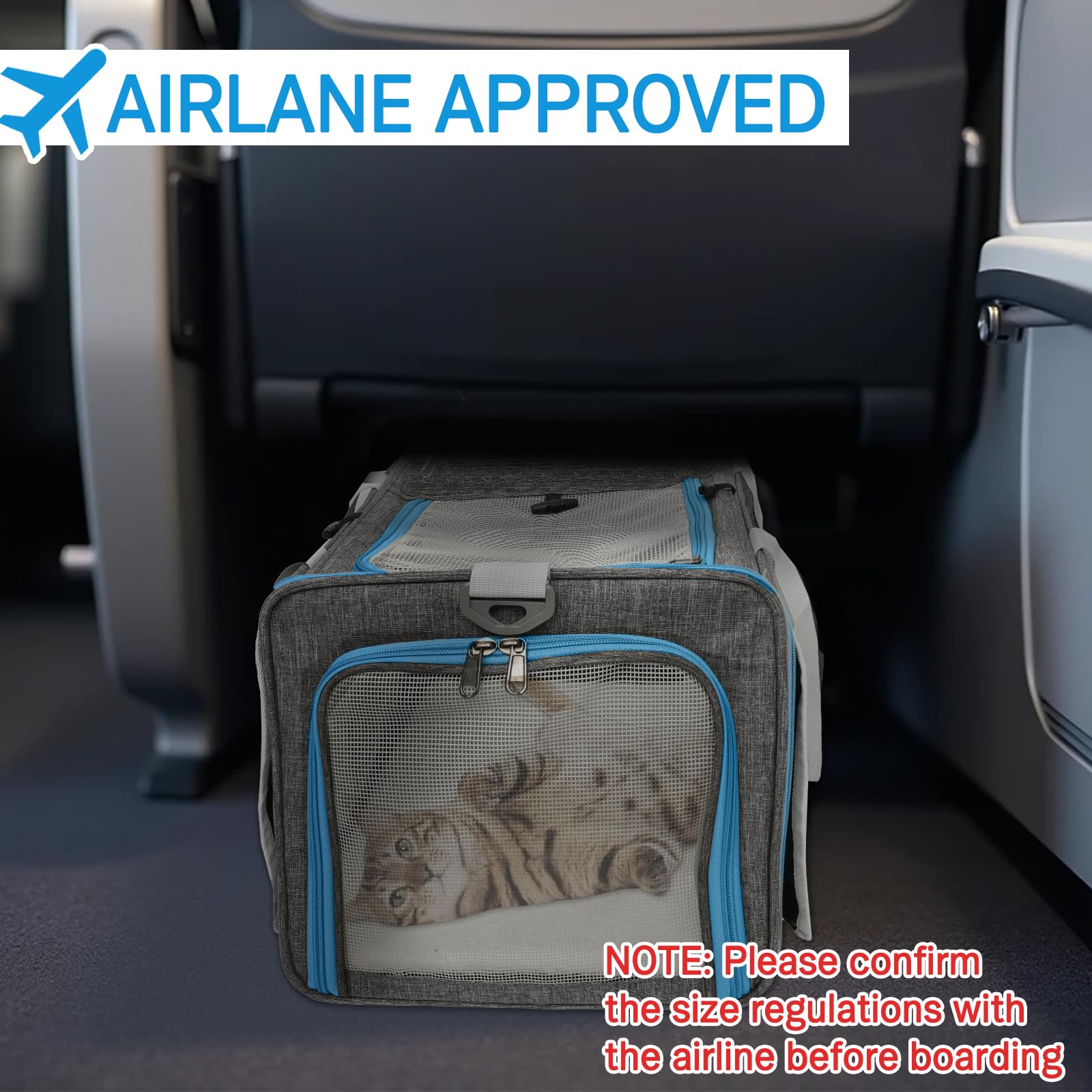 Xeoca pet carrier plush-interior provides a cozy travel space.