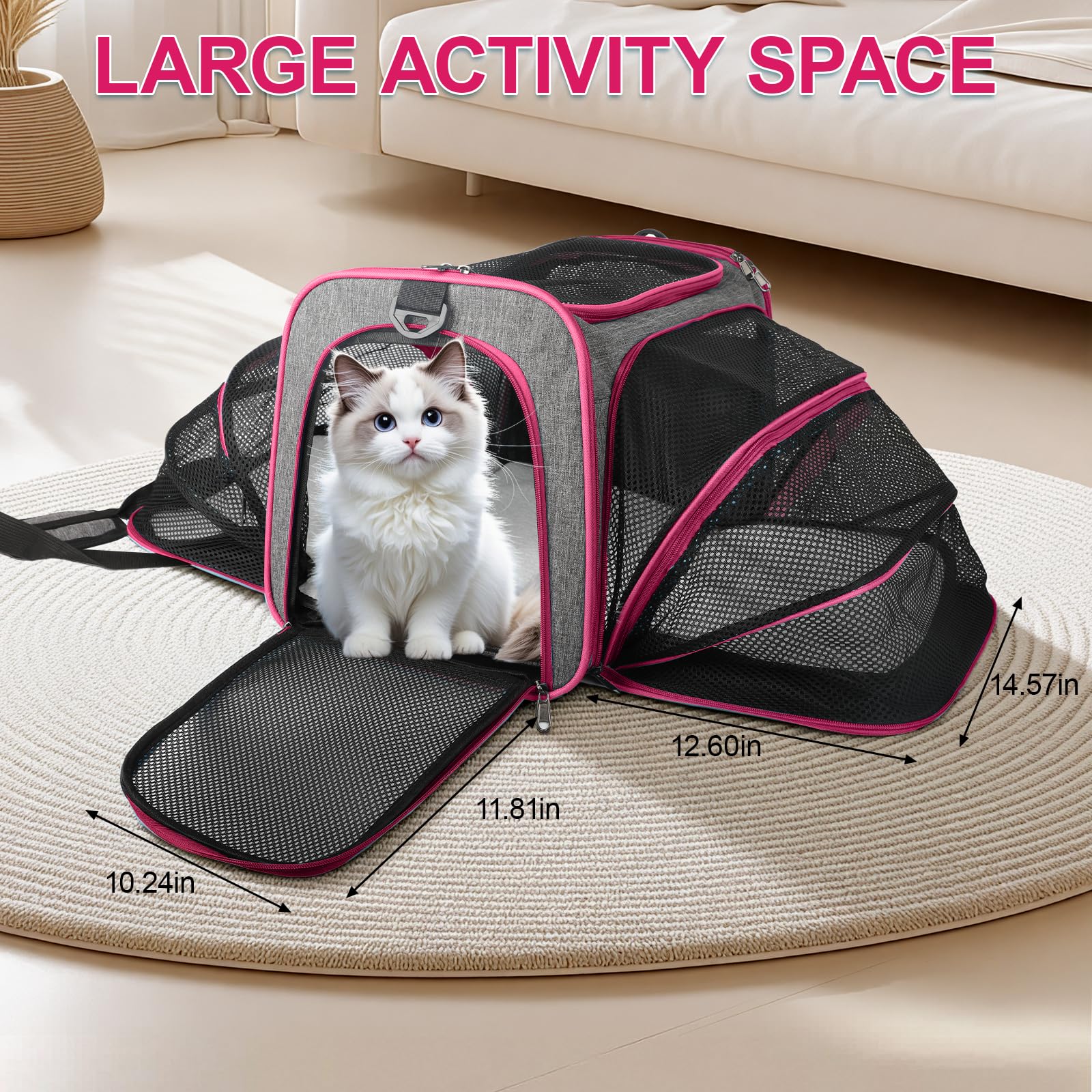 Xeoca carrier with removable wheels for soft-sided carry