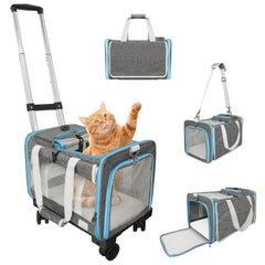 Xeoca pet carrier under seat shows airline-friendly size for compact travel.