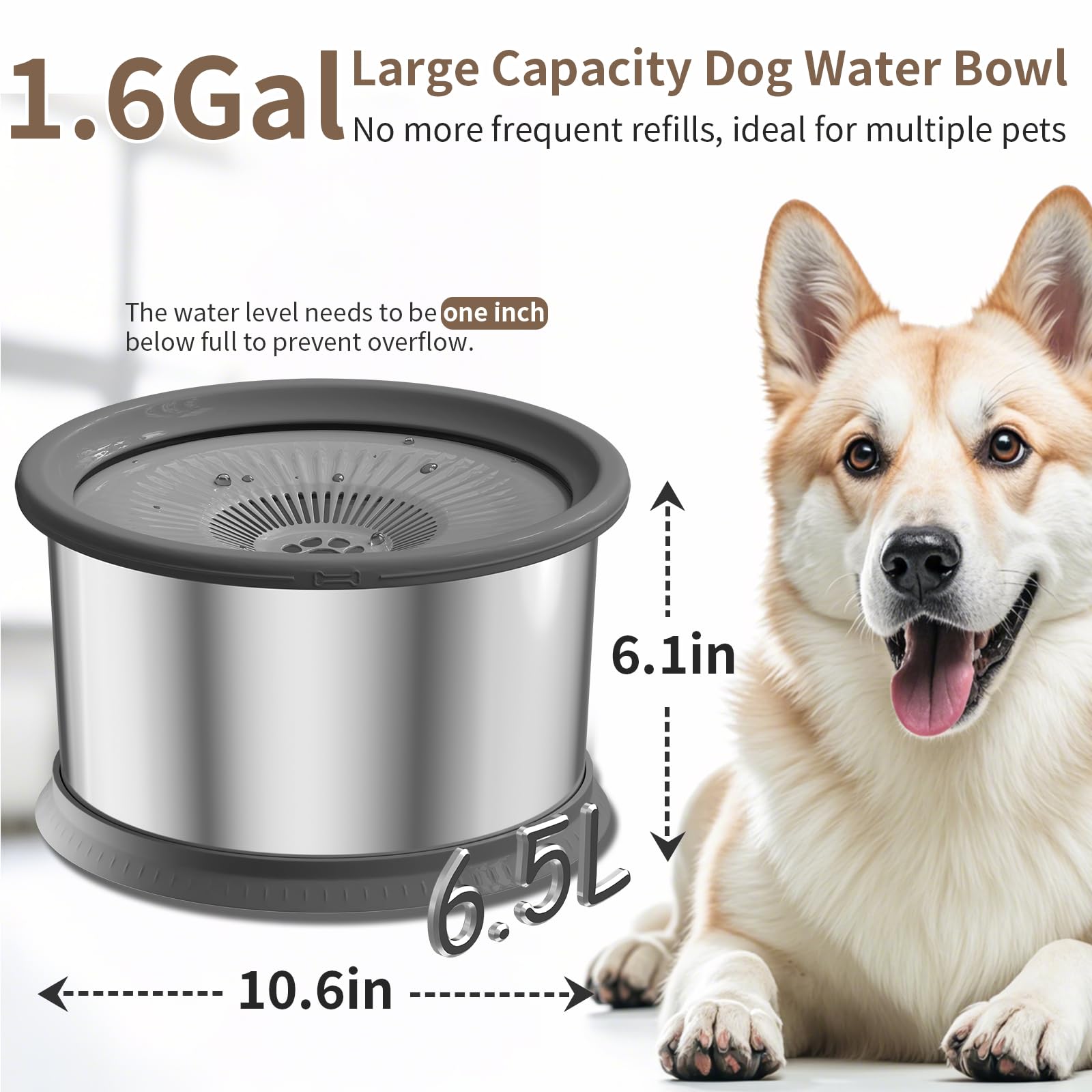 Xetino no-spill dog water bowl reducing splashes during use