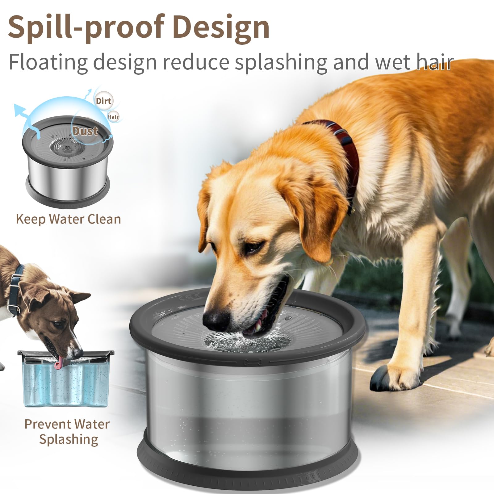 Xetino slow-drinking plate in action for steady pet hydration