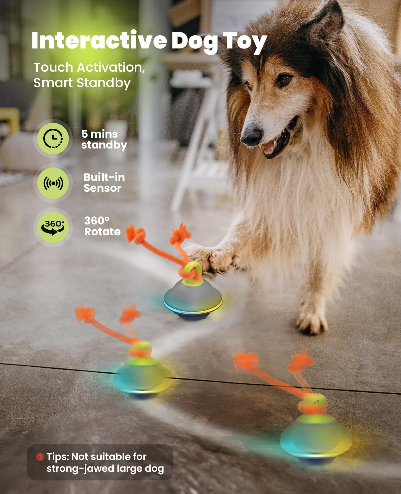 Xeuch interactive dog toy in rolling motion for energetic fetch play