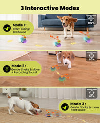 Xeuch interactive dog toy emits chirps for training and bonding sessions