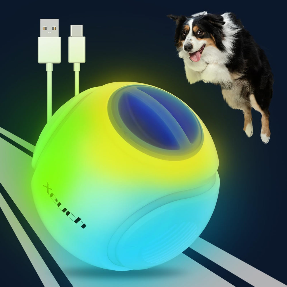 Xeuch light-up dog ball front view with blue glow for nighttime fetch