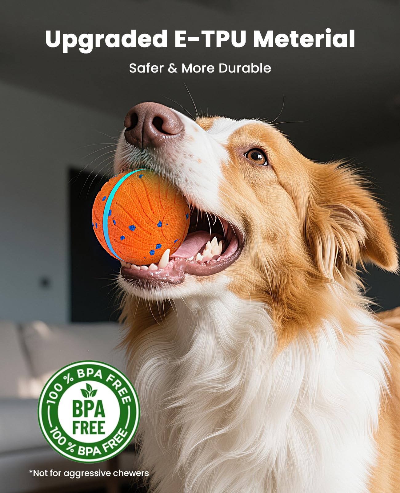 Xeuch Smart Interactive Dog Ball motion-activated glow supports nighttime fetch.