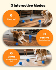 Xeuch smart interactive dog ball active chase mode for lively fetch sessions.