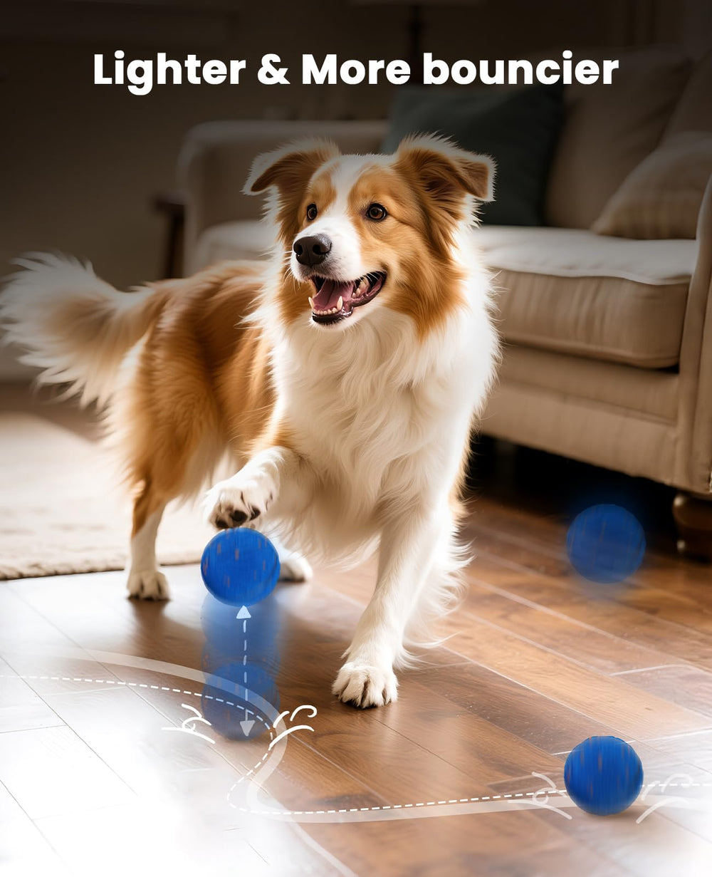 Xeuch ball in use with a dog enjoying interactive stimulation.
