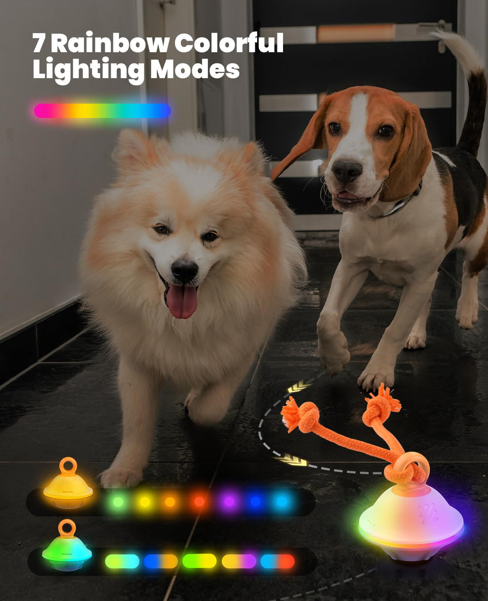 Xeuch toy package includes ropes and USB-C charger for fetch and charging