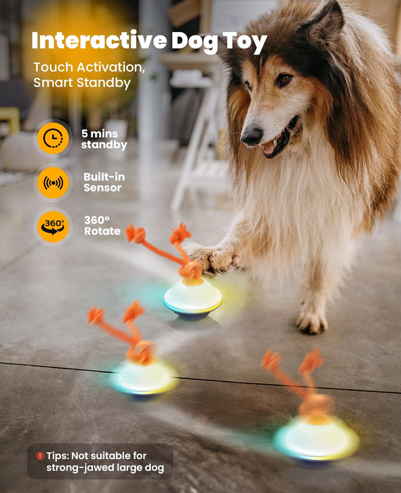 Xeuch ball rolling action mimics prey to spark your dog’s chase instinct