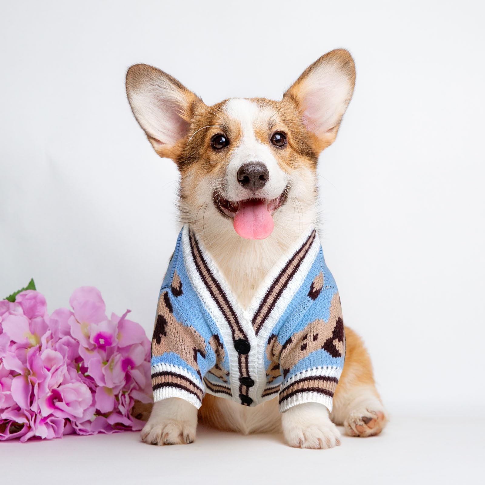 XGDMEIL puppy wear in blue, suitable for daily walks and style