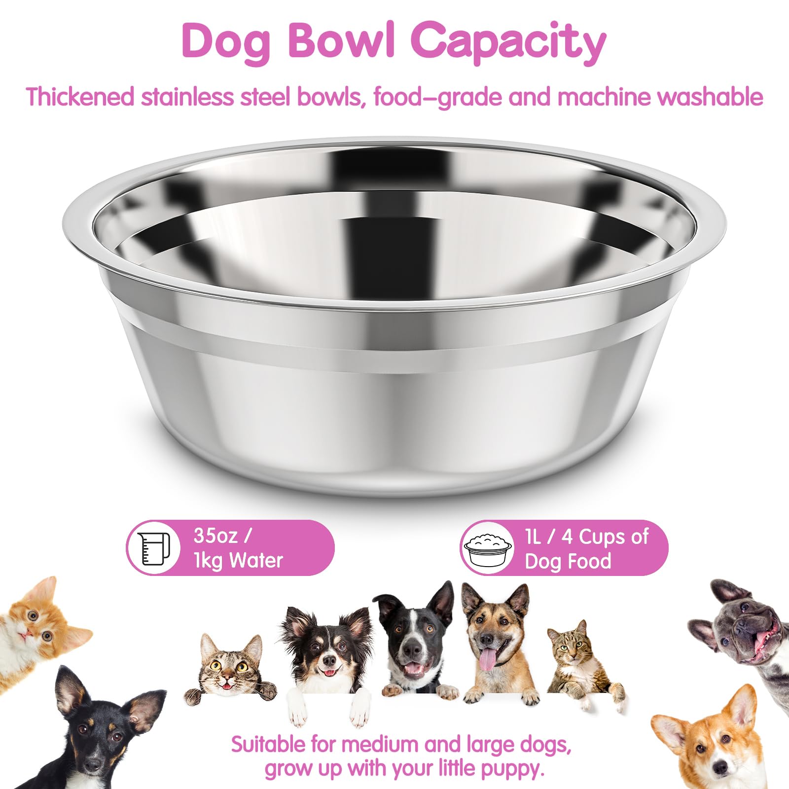XiaZ dishwasher-safe bowls simplify cleanup after meals.