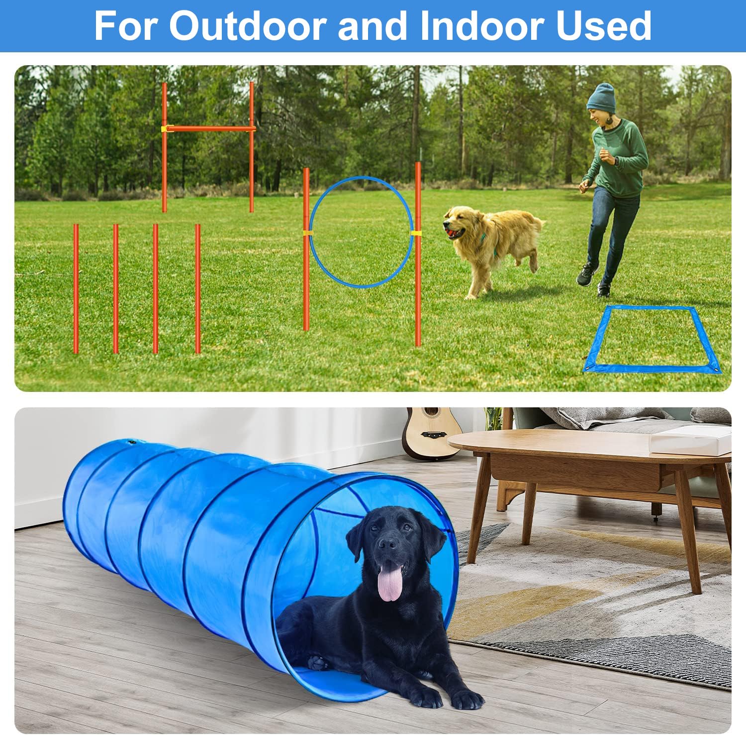 XiaZ pause box supports impulse control during training sessions.