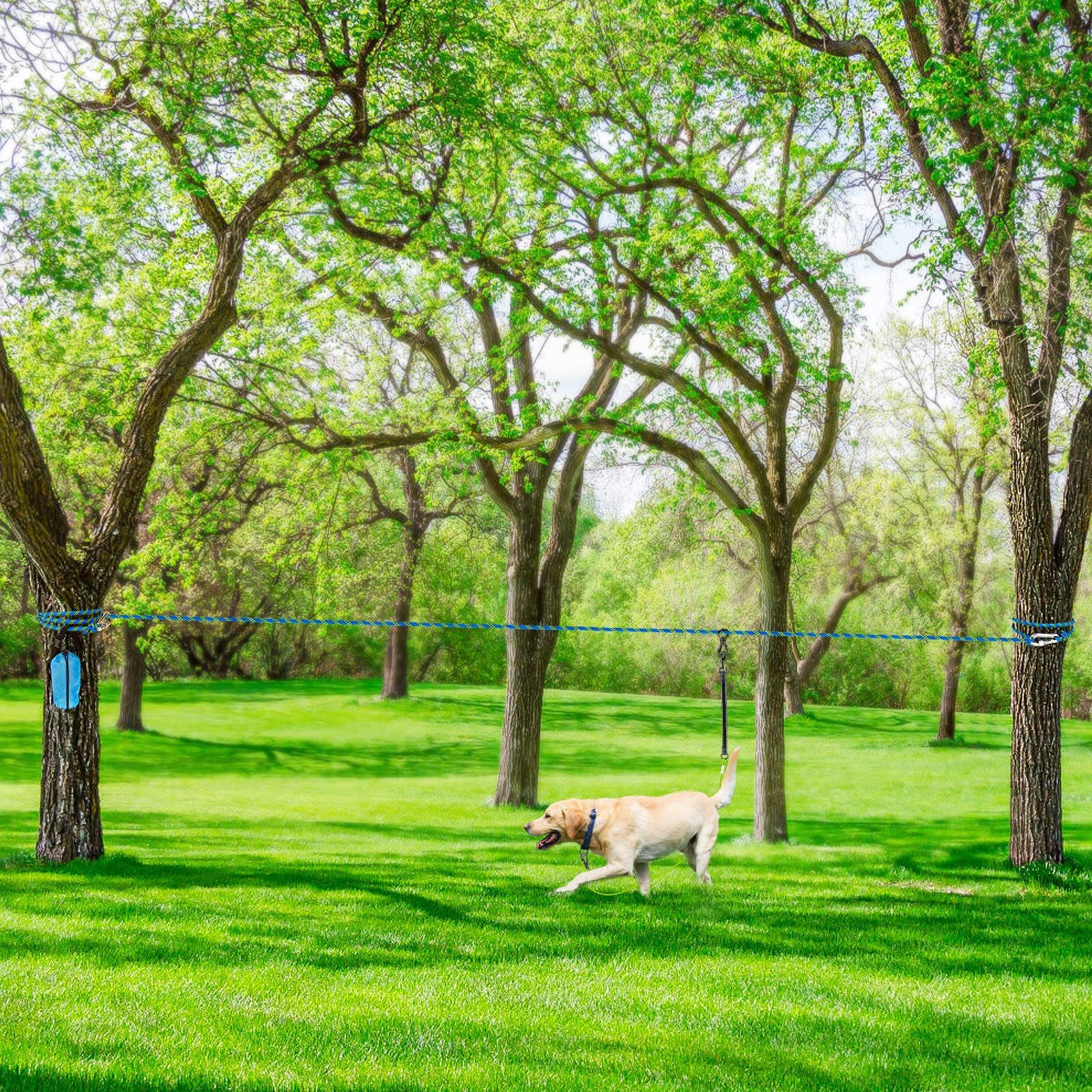 XiaZ yard-camping-use-dog-tie-out ideal for parks, yards, and outdoor events.