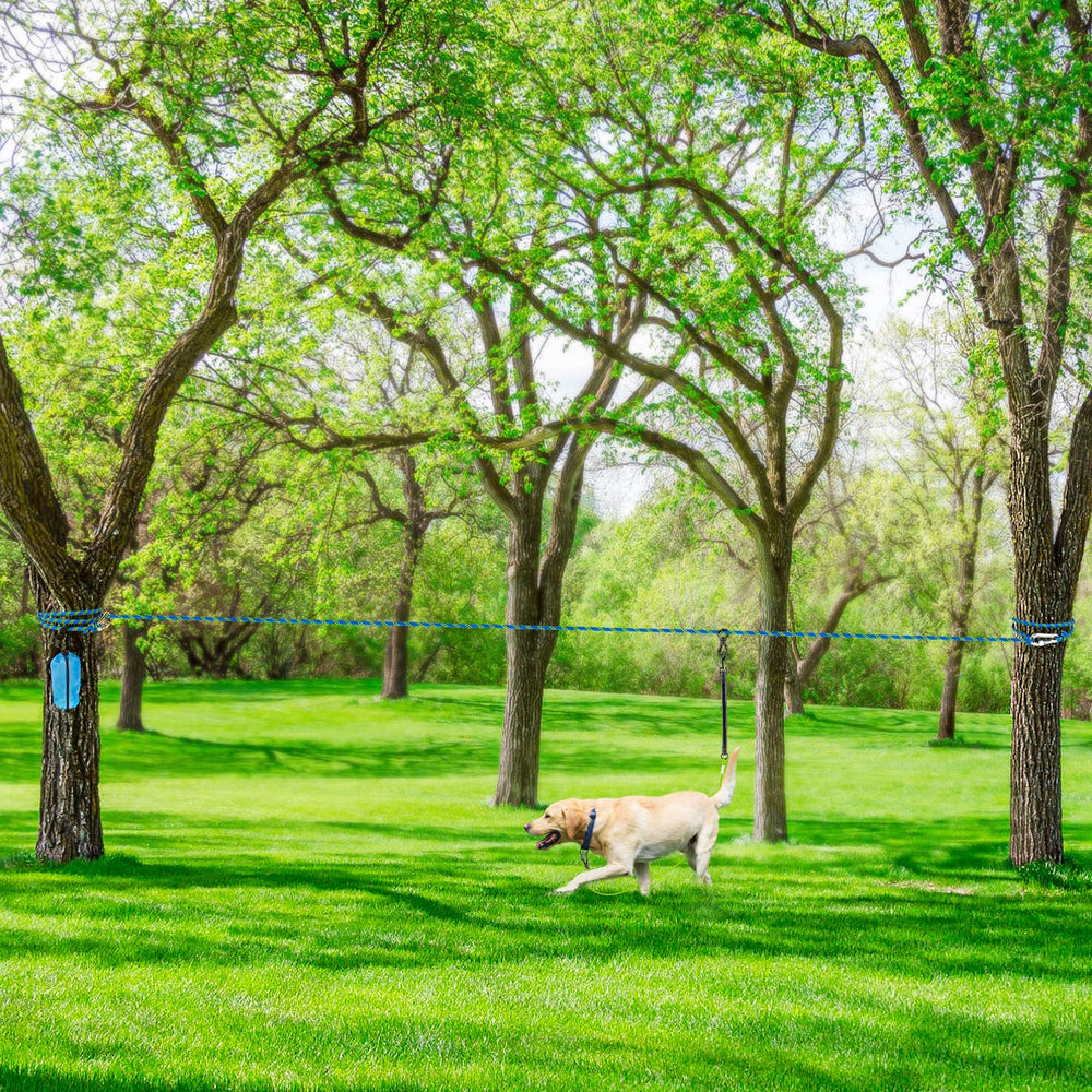 XiaZ yard-camping-use-dog-tie-out ideal for parks, yards, and outdoor events.