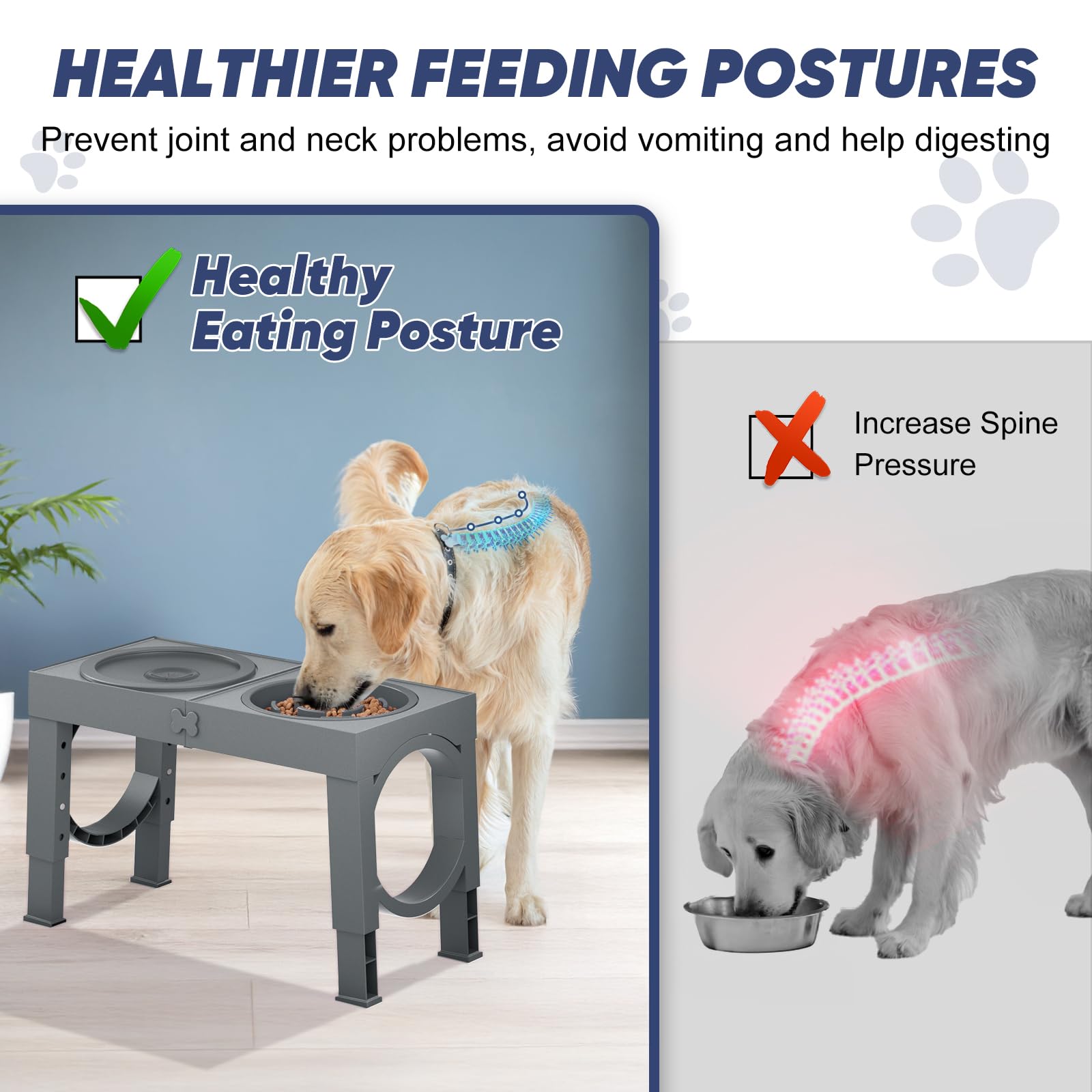 XIAZ elevated dog bowl promotes upright posture during meals for easy neck alignment.