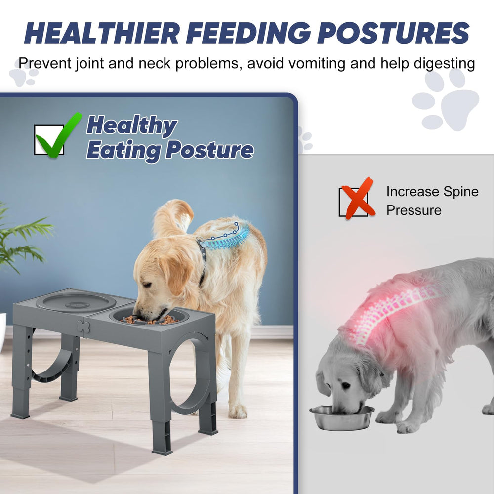 XIAZ elevated dog bowl promotes upright posture during meals for easy neck alignment.