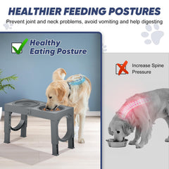 XIAZ elevated dog bowl promotes upright posture during meals for easy neck alignment.
