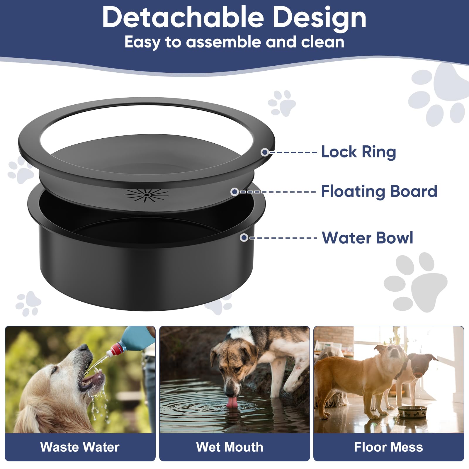 XIAZ four-height settings fit medium to large breeds for comfortable dining.
