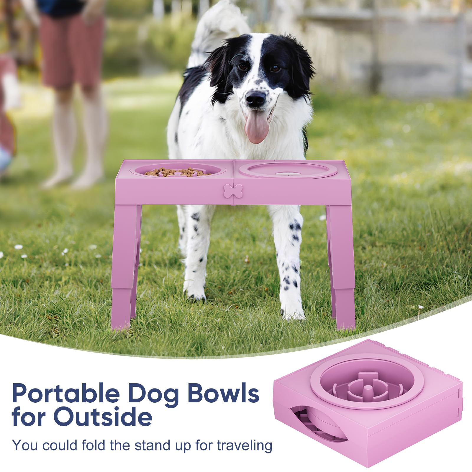XiaZ large-breed friendly design supports comfortable eating.