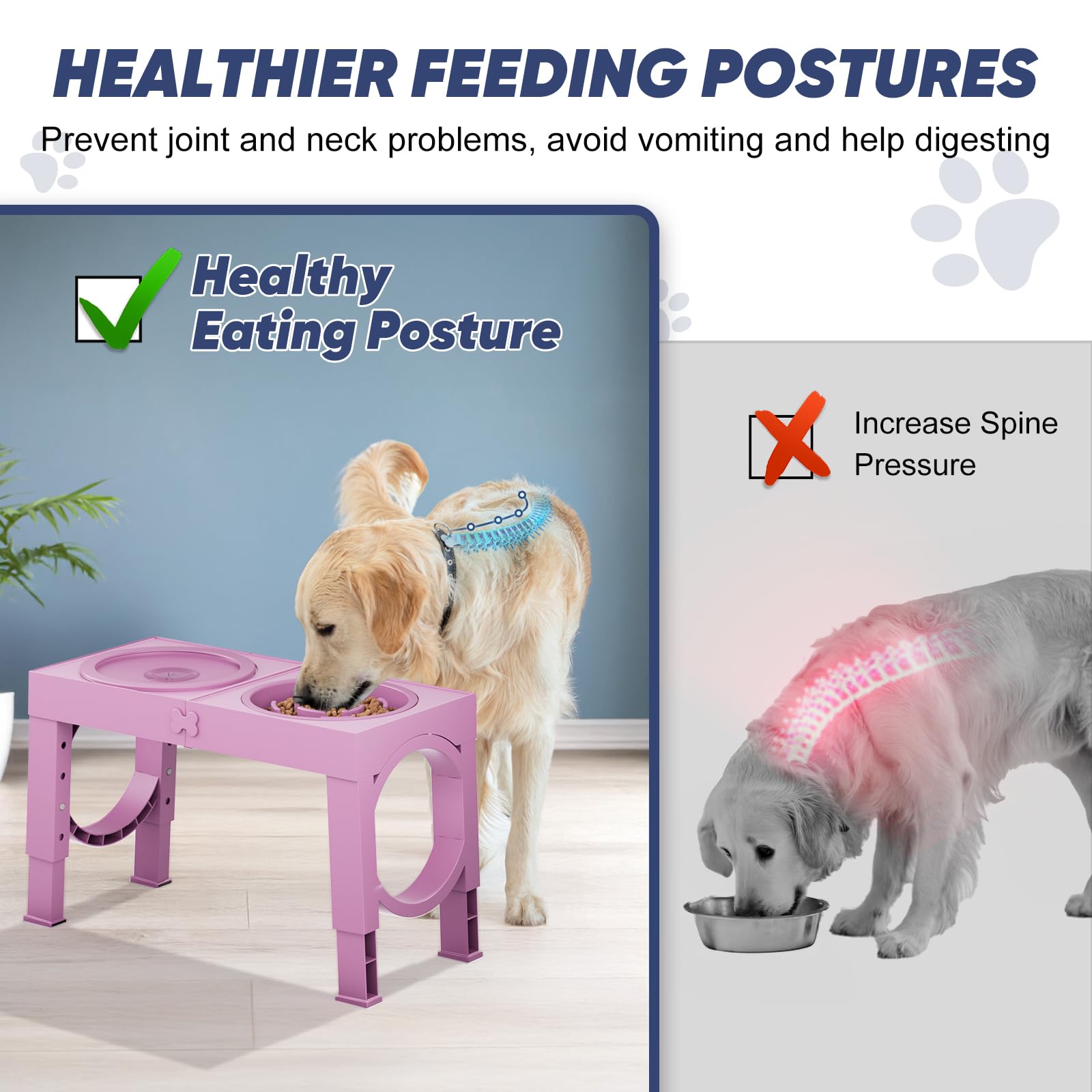 XiaZ non-slip base keeps the bowl steady for energetic dogs.