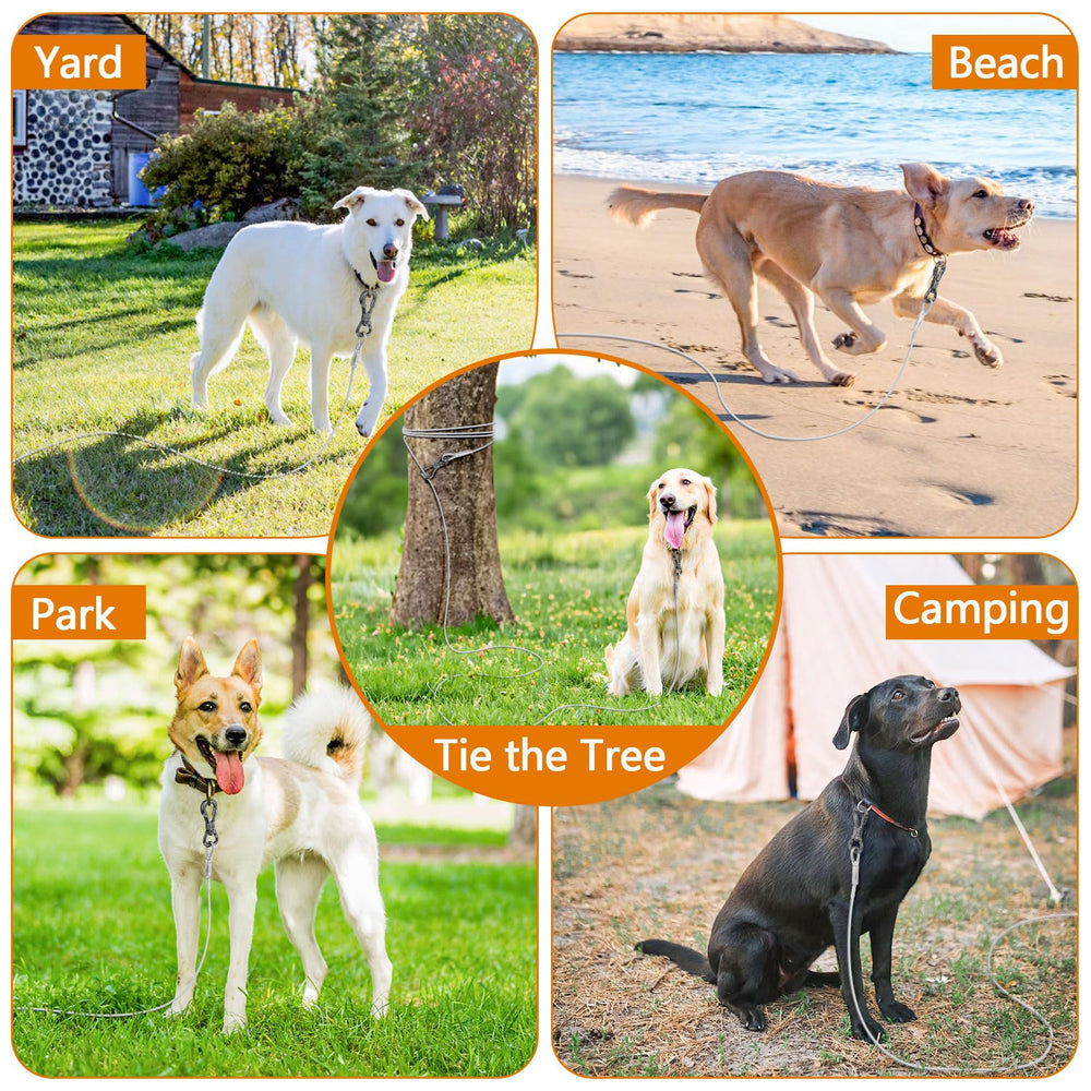 XiaZ outdoor yard setup keeps dogs in sight while exploring.